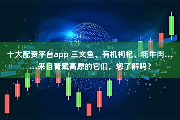 十大配资平台app 三文鱼、有机枸杞、牦牛肉……来自青藏高原的它们，您了解吗？