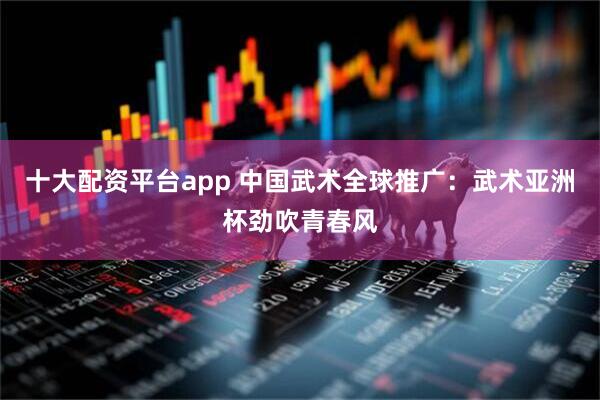 十大配资平台app 中国武术全球推广：武术亚洲杯劲吹青春风