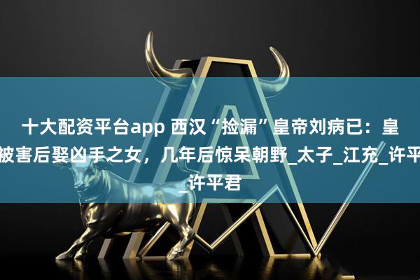 十大配资平台app 西汉“捡漏”皇帝刘病已：皇后被害后娶凶手之女，几年后惊呆朝野_太子_江充_许平君