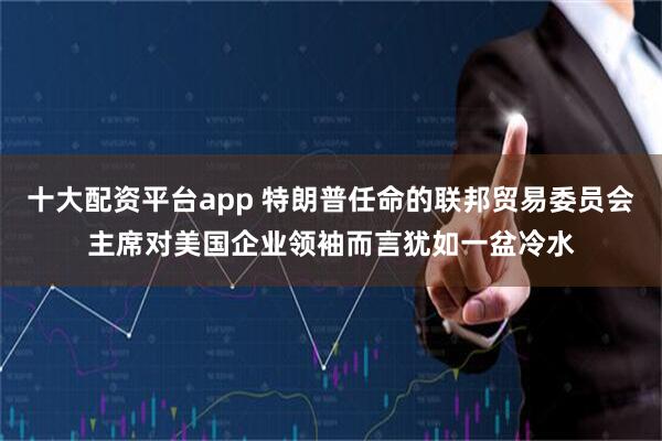 十大配资平台app 特朗普任命的联邦贸易委员会主席对美国企业领袖而言犹如一盆冷水