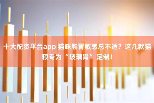 十大配资平台app 猫咪肠胃敏感总不适？这几款猫粮专为 “玻璃胃” 定制！